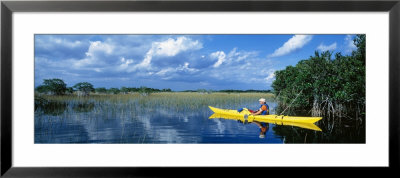 Kayaker In Everglades National Park, Florida, Usa by Panoramic Images Pricing Limited Edition Print image