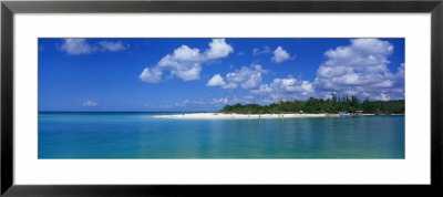 Delnor Wiggins State Park, Florida, Usa by Panoramic Images Pricing Limited Edition Print image