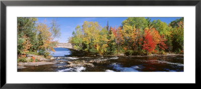 Trees Near A River, Bog River, New York State, Usa by Panoramic Images Pricing Limited Edition Print image