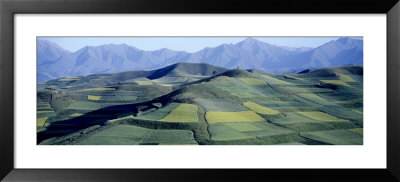 Fields, Farm, Qinghai Province, China by Panoramic Images Pricing Limited Edition Print image