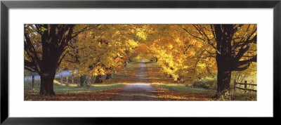 Road, Baltimore County, Maryland, Usa by Panoramic Images Pricing Limited Edition Print image