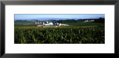 Amish Farm, Lancaster, Pennsylvania, Usa by Panoramic Images Pricing Limited Edition Print image