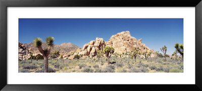 Rock Formation In A Arid Landscape, Joshua Tree National Monument, California, Usa by Panoramic Images Pricing Limited Edition Print image