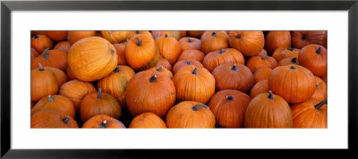 Pumpkins by Panoramic Images Pricing Limited Edition Print image