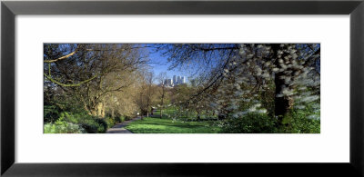 Bare Trees Along A Walkway, Canary Wharf, Tower Hamlets, London, England, United Kingdom by Panoramic Images Pricing Limited Edition Print image