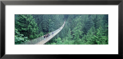Capilano Bridge, Suspended Walk, Vancouver, British Columbia, Canada by Panoramic Images Pricing Limited Edition Print image