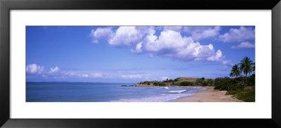 Gringo Beach, Island Of Vieques, Puerto Rico by Panoramic Images Pricing Limited Edition Print image