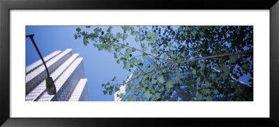 Low Angle View Of Buildings, San Francisco, California, Usa by Panoramic Images Pricing Limited Edition Print image