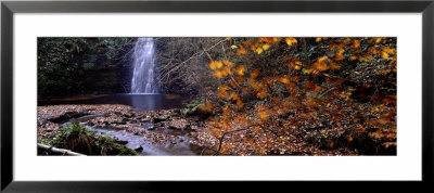Water Falling Into A Pool, Falling Foss, North York Moors, North Yorkshire, England, United Kingdom by Panoramic Images Pricing Limited Edition Print image