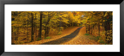 Autumn Road, Emery Park, New York State, Usa by Panoramic Images Pricing Limited Edition Print image