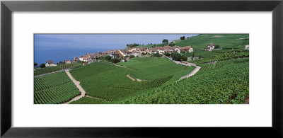 Lake Of Geneva, Vineyards, Rivaz, Switzerland by Panoramic Images Pricing Limited Edition Print image