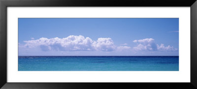 View Of The Sea, Vieques, Puerto Rico by Panoramic Images Pricing Limited Edition Print image