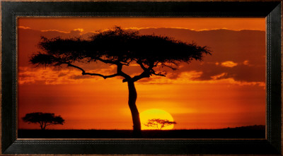Masai Mara Plains, Kenya by James Urbach Pricing Limited Edition Print image