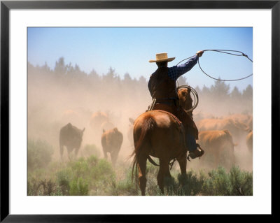 Cowboy Working The Herd On A Cattle Drive Through Central Oregon, Usa by Janis Miglavs Pricing Limited Edition Print image