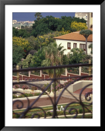 Aerial Of La Orotava, Tenerife, Canary Islands, Spain by Stuart Westmoreland Pricing Limited Edition Print image