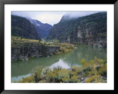 Green River At Gates Of Lodore, Dinosaur National Monument, Colorado, Usa by Scott T. Smith Pricing Limited Edition Print image