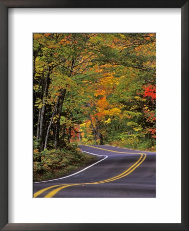 Canopy Of Autumn Color Over Highway 41, Copper Harbor, Michigan, Usa by Chuck Haney Pricing Limited Edition Print image