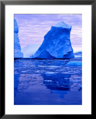 Blue Icebergs, Antarctica by Joe Restuccia Iii Pricing Limited Edition Print image