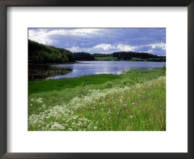 Finnish Countryside, Finland by Heikki Nikki Pricing Limited Edition Print image