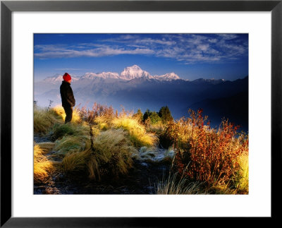 Trekker Watches Sunrise Over Dhaulagari Mountain, Poon Hill, Nepal by Anthony Plummer Pricing Limited Edition Print image