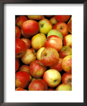 Apples, Ferry Building Farmer's Market, San Fransisco, California, Usa by Inger Hogstrom Pricing Limited Edition Print image