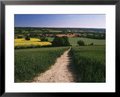 Footpath, Heaversham, Near Sevenoaks, North Downs, Kent, England, United Kingdom by David Hughes Pricing Limited Edition Print image