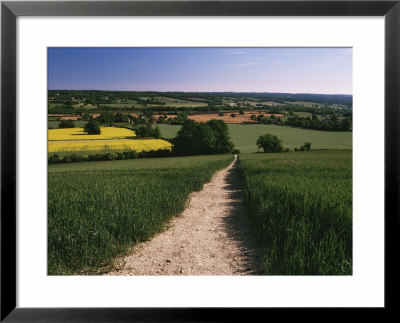 Footpath, Heaversham, Near Sevenoaks, North Downs, Kent, England, United Kingdom by David Hughes Pricing Limited Edition Print image