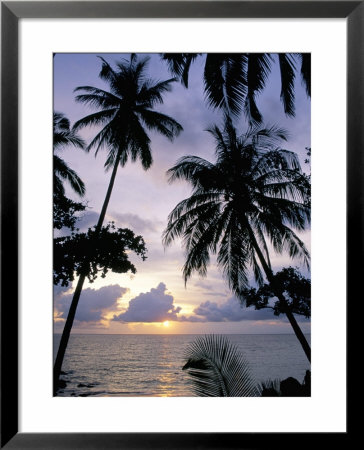 Sunset Framed By Palms, Patong, Phuket, Thailand, Southeast Asia, Aisa by Ruth Tomlinson Pricing Limited Edition Print image