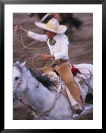 Mexico, Jalisco, Puerto Vallarta Cowboy Attempts To Rope A Bull At The Charro, Rodeo by John & Lisa Merrill Pricing Limited Edition Print image