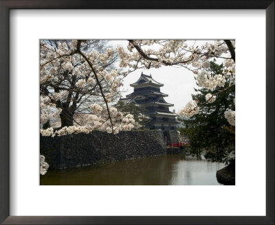 Cherry Blossoms, Matsumoto Castle, Matsumoto City, Nagano Prefecture, Honshu Island, Japan by Christian Kober Pricing Limited Edition Print image