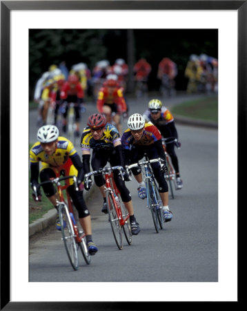 Bicycle Racers At Volunteer Park, Seattle, Washington, Usa by William Sutton Pricing Limited Edition Print image