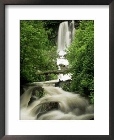 Waterfall Near Le Mont Dor, Auvergne, France by Michael Busselle Pricing Limited Edition Print image