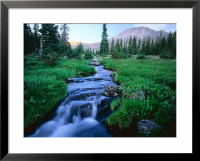 Agassiz Peak In The Distance, Stillwater Fork Of Bear River Drainage, High Uintas Wilderness, Utah by Scott T. Smith Pricing Limited Edition Print image