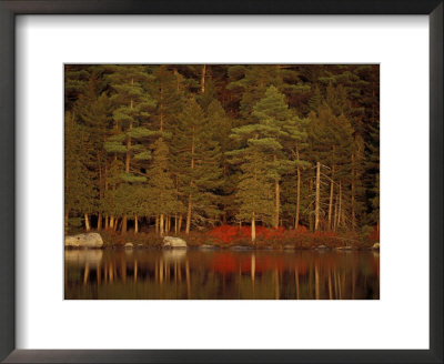 Reflections In Daicey Pond, Maine, Usa by Jerry & Marcy Monkman Pricing Limited Edition Print image