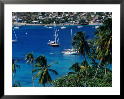 Yachts In Harbour, Port Elizabeth, St. Vincent & The Grenadines by Wayne Walton Pricing Limited Edition Print image