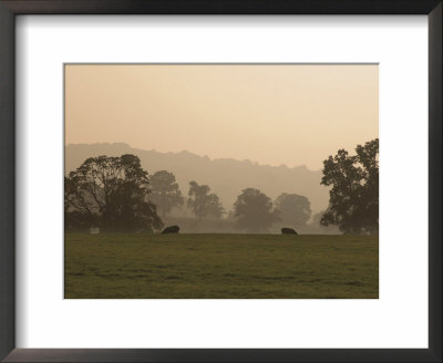 Sheep Farmland Seen From The Cotswold Way Footpath, Stanway Village, The Cotswolds, England by David Hughes Pricing Limited Edition Print image