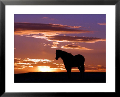 A Wild Horse Lingers At The Edge Of The Badlands Near Fryburg, N.D. by Ruth Plunkett Pricing Limited Edition Print image