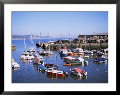 Boats In Harbour, Lyme Regis, Dorset, England, United Kingdom by J Lightfoot Pricing Limited Edition Print image