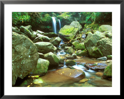 Grotto Falls, Great Smoky Mountains National Park, Tennessee, Usa by Rob Tilley Pricing Limited Edition Print image