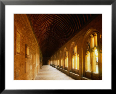 Cloisters Of New College, Oxford, England by Jon Davison Pricing Limited Edition Print image