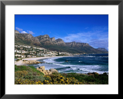 Beach At Camps Bay, Cape Town, South Africa by Ariadne Van Zandbergen Pricing Limited Edition Print image