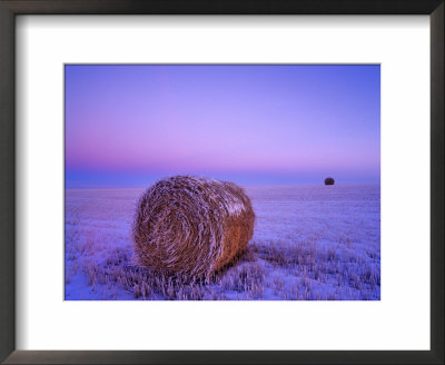 Winter Straw Bales Near Cartwright, North Dakota, Usa by Chuck Haney Pricing Limited Edition Print image