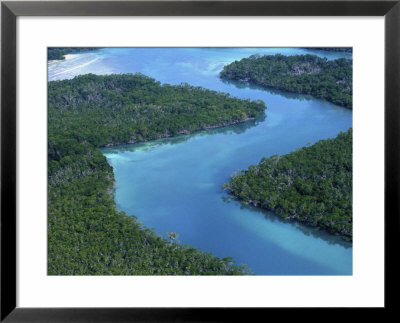 Florida Bay, Everglades National Park, Florida, Usa by Rob Tilley Pricing Limited Edition Print image