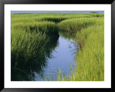 A Small Slough Or Channel Running Through A Grassy Marsh by Heather Perry Pricing Limited Edition Print image
