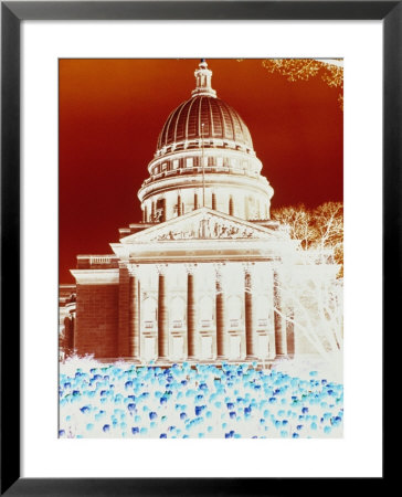 Bright Red Colors Against Blue And Purple Tulips Decorating The Capitol Building In Madison by Stacy Gold Pricing Limited Edition Print image