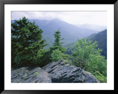 View From The Alum Cave Bluffs Trail In Great Smoky Mountains National Park, Tennessee, Usa by Robert Francis Pricing Limited Edition Print image