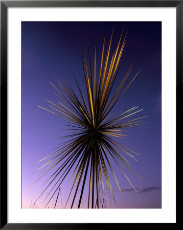 B Of The Bang, Modern Steel Sculpture, City Of Manchester Stadium, Manchester, England by Charles Bowman Pricing Limited Edition Print image