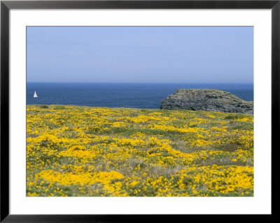 Pointe Du Vieux Chateau, Belle Ile En Mer, Breton Islands, Morbihan, Brittany, France by Bruno Barbier Pricing Limited Edition Print image