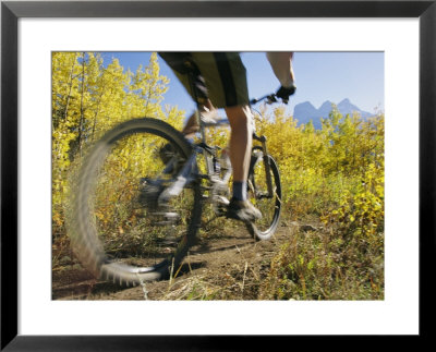 Cyclist Rides Mountain Bike Among Trees With Autumn Foliage by Mark Cosslett Pricing Limited Edition Print image