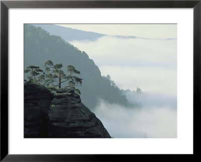 Early Morning Fog Rises Over The Elbe River In Elbsandstein Region by Norbert Rosing Pricing Limited Edition Print image